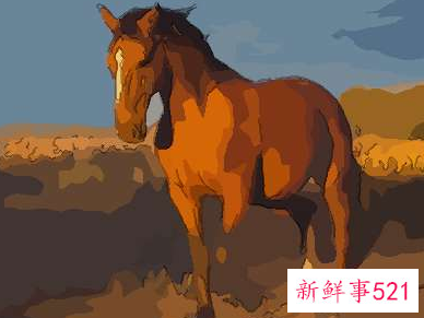 2022年运气好的生肖排名