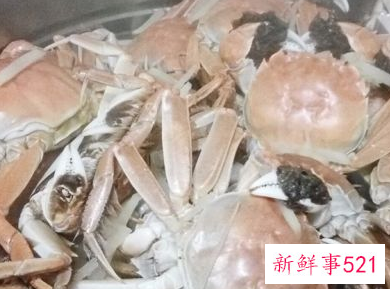 螃蟹清蒸的做法步骤