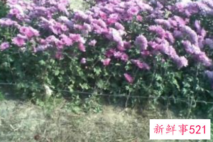 做了对不起老公的事怎么挽回