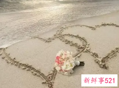 爱情的浪漫句子