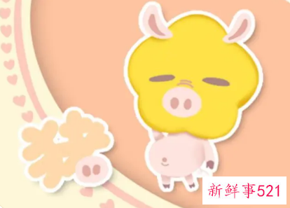 属猪女天蝎对待感情