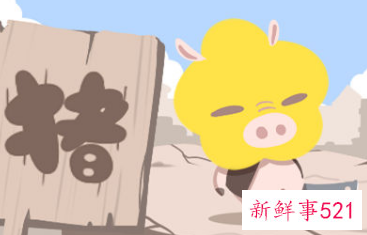 怎样抓住属猪男人的心