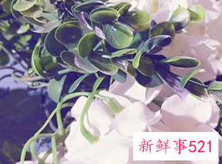 打官司必须去被告人所在地吗