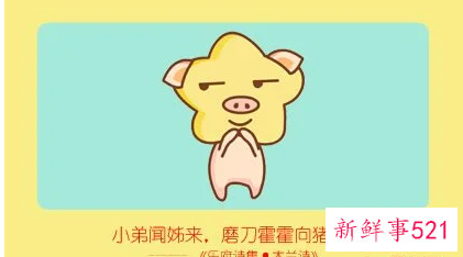 猪猴婚姻真的很差劲吗