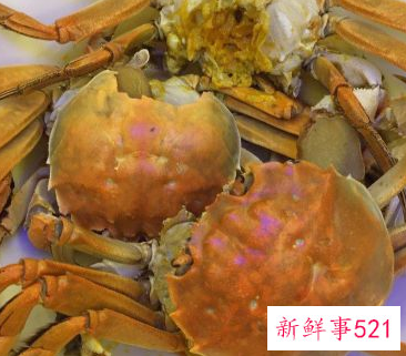 螃蟹清蒸的做法步骤