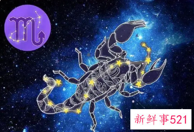 射手女天蝎男的爱情