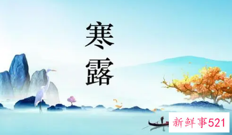 关于寒露的内容