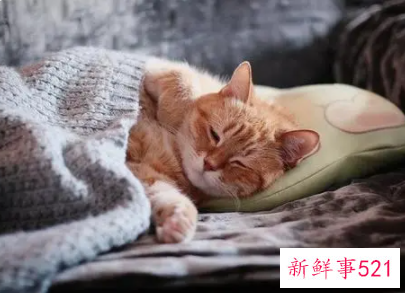 睡觉头朝哪个方向