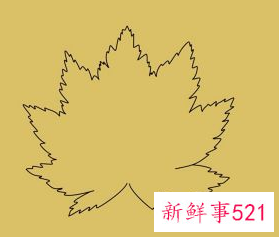 枫叶怎么画步骤