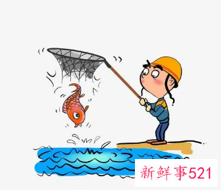 梦见晚上抓鱼有什么预兆