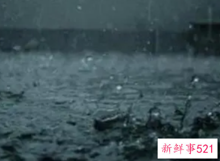 梦见雨预兆什么