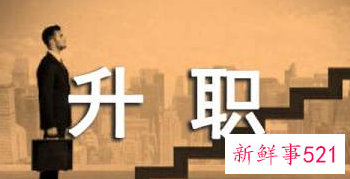 职级晋升自我评价简短