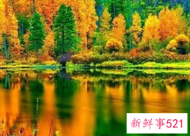 最好的旅游景点