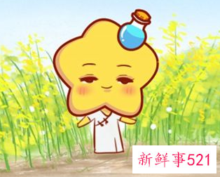 陶白白水瓶座运势