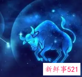 这些星座什么事都靠自己