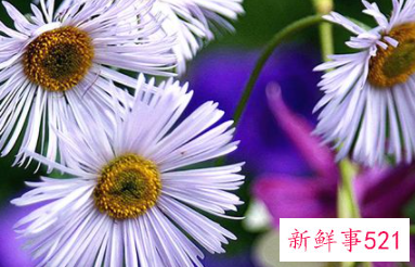 双鱼怎么追天蝎