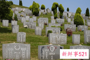 晚上去坟墓真的有鬼吗