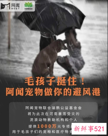 河南暴雨受灾流浪动物救援渠道