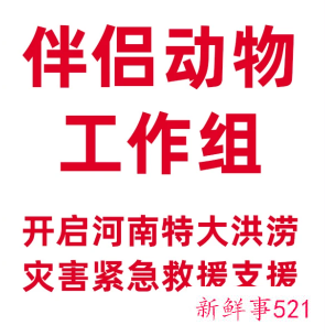 河南暴雨受灾流浪动物救援渠道