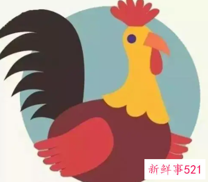 属虎和属鸡的婚姻怎么样