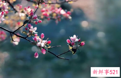 老了也要优雅的老去