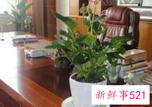 男士办公桌上放什么摆件
