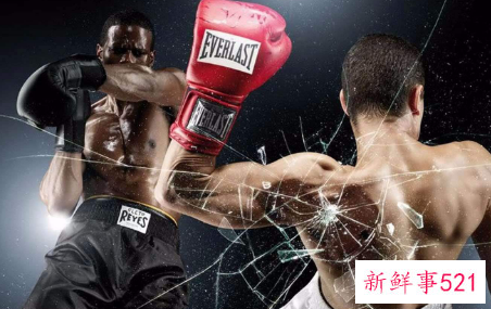搏击和拳击有什么区别
