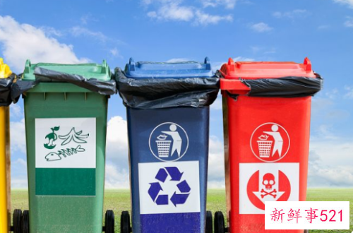 绿植属于什么垃圾分类