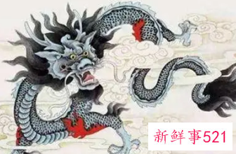 属龙的女人对待感情