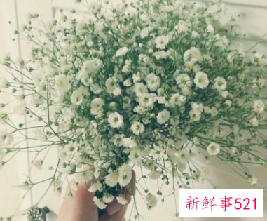 只要抛弃硬批评学会软抱怨幸福就如此简单