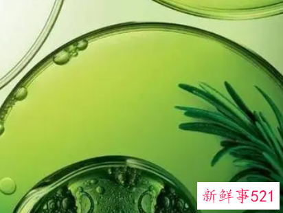 有机保养安全绿色的护肤新概念