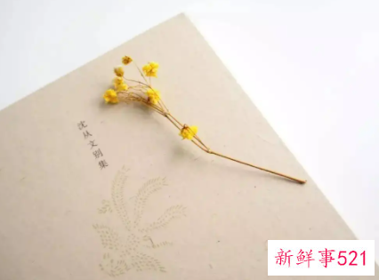 沈从文最美情话短句