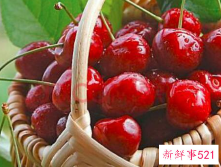 车厘子怎么保存方法