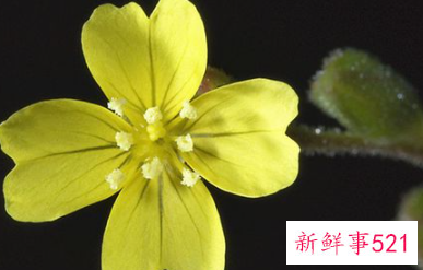 双鱼怎么追天蝎