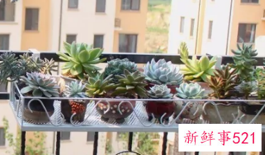 外置阳台怎么装修好看