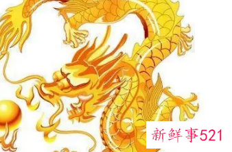 属龙的女人对待感情