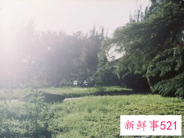 梦见一个白色的光团