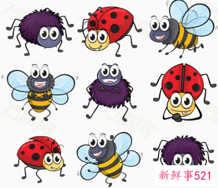 孕妇梦见虫子在身上爬