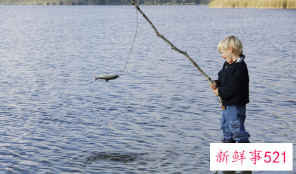 梦见看别人钓鱼