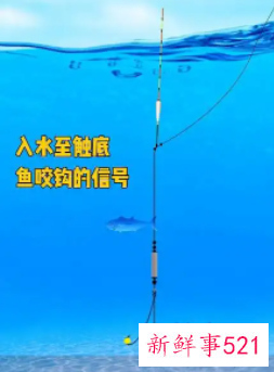 怎么看鱼漂知道鱼上钩