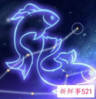 双鱼座适合的十大职业