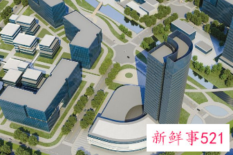 公司未来规划和发展前景怎么写