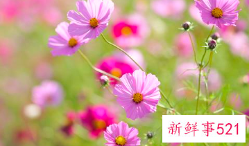 巨蟹座到底有多厉害