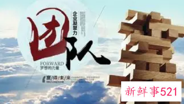 团队凝聚力拓展团建心得体会