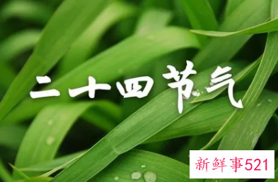 二十四节气的含义简介传统文化