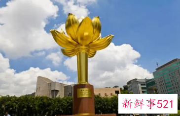 庆祝澳门回归22周年700字心得5篇