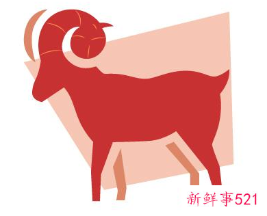 会照顾人的星座