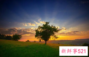 介绍一个好地方作文