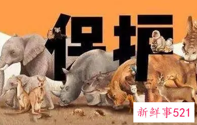 我们能为保护野生动物做些什么