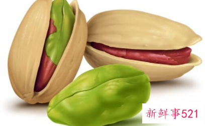 阿月浑子是什么